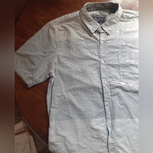 Rumours Collared Med/Large - Picture 9 of 14